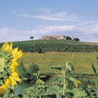 Toscane